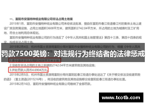 罚款7500英镑：对违规行为终结者的法律惩戒